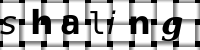 CAPTCHA-Bild